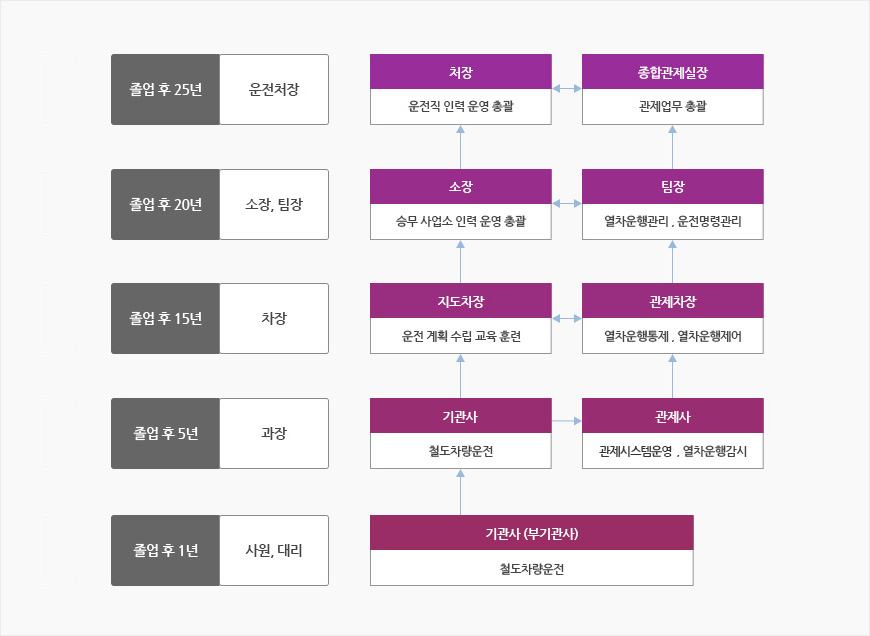 기관사전공
						졸업 후 1년(사원,대리) : 기관사(무기관사)-철도차량운전
						졸업 후 5년(과장) : 기관사-철도차량운전, 관제사-관제시스템운영,열차운행감시
						졸업 후 15년(차장) : 지도차장-운전 계획 수립 교육 훈련, 관제차장-열차운행통제, 열차운행제어
						졸업 후 20년(소장,팀장) : 소장-승무 사업소 인력 운영 총괄, 팀장-열차운행관리,운전명령관리
						졸업 후 25년(운전처장) : 처장-운전직 인력 운영 총괄, 종합관제실장-관제업무 총괄