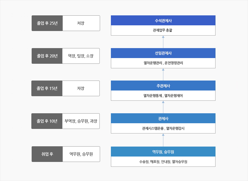 철도운수경영전공
    취업 후(역무원,승무원) : 수송원,매표원,안내원,열차승무원
    졸업 후 10년(부역장,승무원,과장) : 관제사/관제시스템운용,연차운행감시
    졸업 후 15년(차장) : 주관제사/열자운행통제,열차운행제어
    졸업 후 20년(역장,팀장,소장) : 선임관제사/열차운행관리,운전명령관리
    졸업 후 25년(처장) : 수석관제사/관제업무 총괄